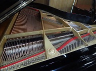 YAMAHA C3B 1980年製造 内装(フレーム・弦)その1