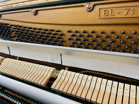 KAWAI BL-71 �n���}�[